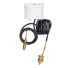 Термоманометр IMMERGAS  10793 CEWAL