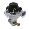 Вентилятор Riello NRG137/2400-3633-010204 4R002139