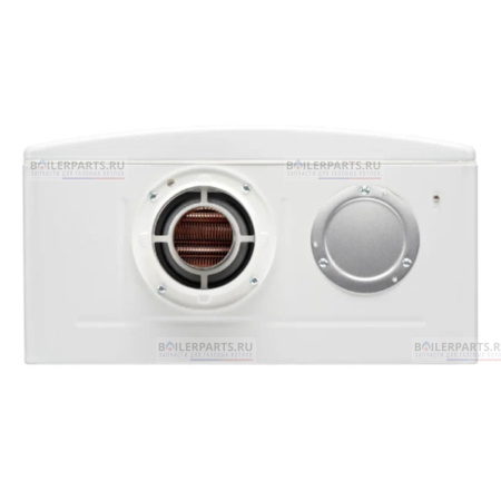 Газовый котел BR-R36 + Wi-Fi RINNAI  498900118