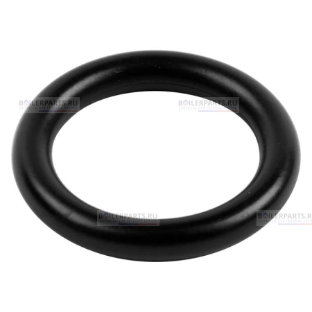 Кольцо уплотнительное PROTHERM 0020034114