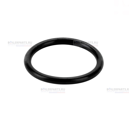 Прокладка теплообменника (ГВС) PROTHERM SaunierGPT 0020118784