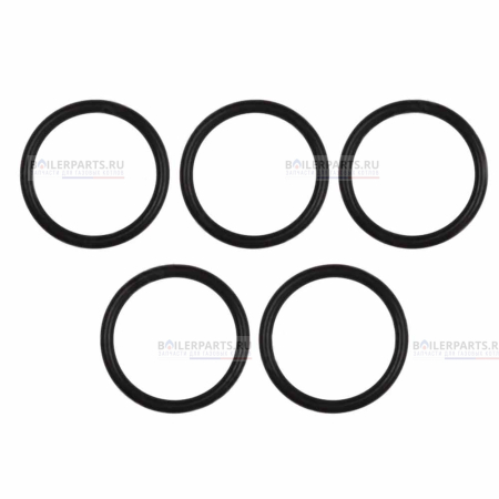 Уплотнительное кольцо 45x5  для котлов Vaillant 0020107571