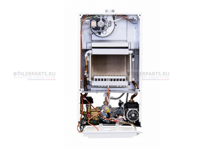 Газовый котел ECO Nova 10 F  BAXI  100021538