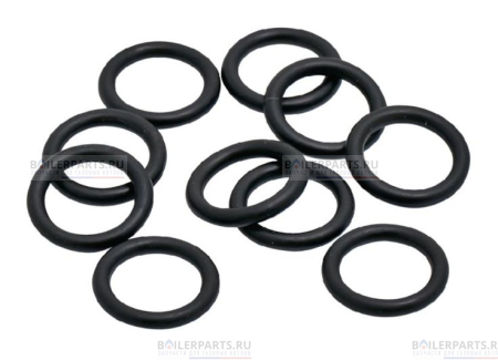 Сальник-прокладка для газовой колонки Bosch-Junkers (10шт.) 87002050230