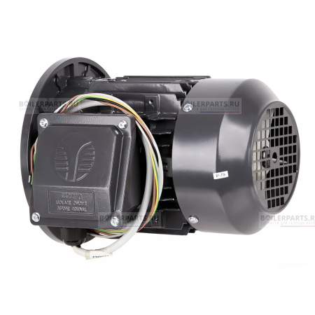 Электродвигатель 1,1KW 400/50 218100301
