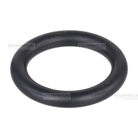 Кольцо уплотнительное PROTHERM 0020097419