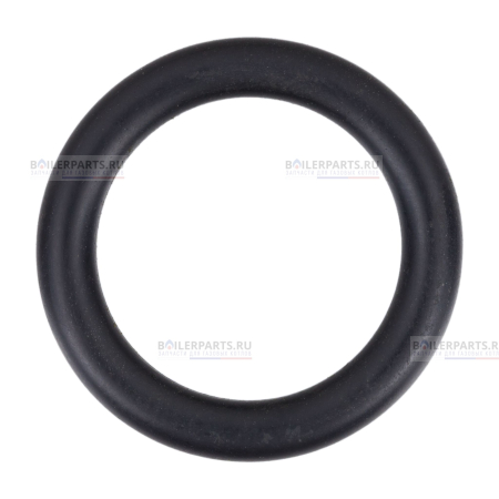 Кольцо уплотнительное PROTHERM 0020097419