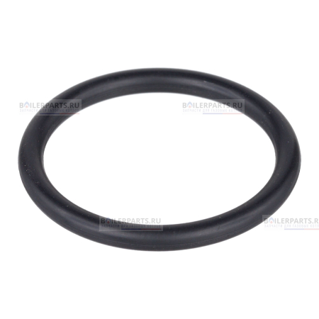 Кольцо уплотнительное PROTHERM 0020118186