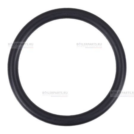 Кольцо уплотнительное PROTHERM 0020118186