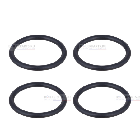 Кольцо уплотнительное PROTHERM (4шт) 0020097224_4