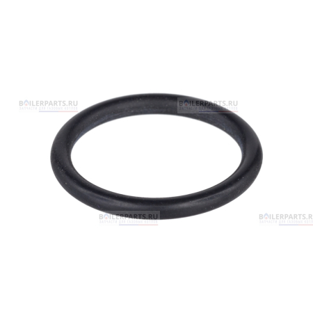 Кольцо уплотнительное PROTHERM 0020118737