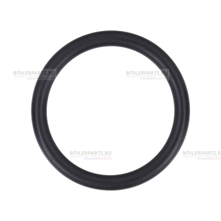 Кольцо уплотнительное PROTHERM 0020118737