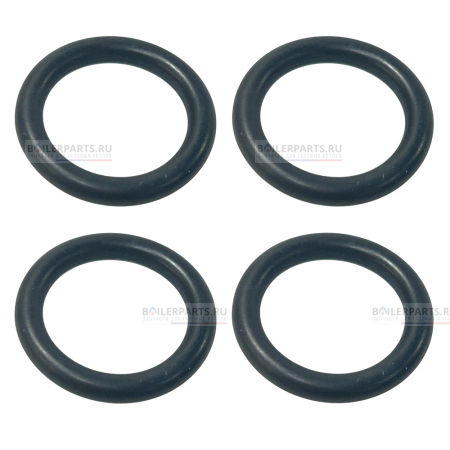 Кольцо уплотнительное PROTHERM (4шт) 0020118658_4